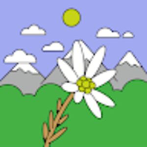 alissonmendez avatar