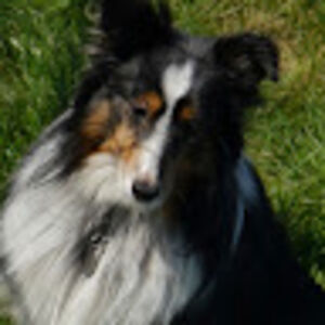 michellerever_1 avatar