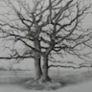 lorindawoerner avatar