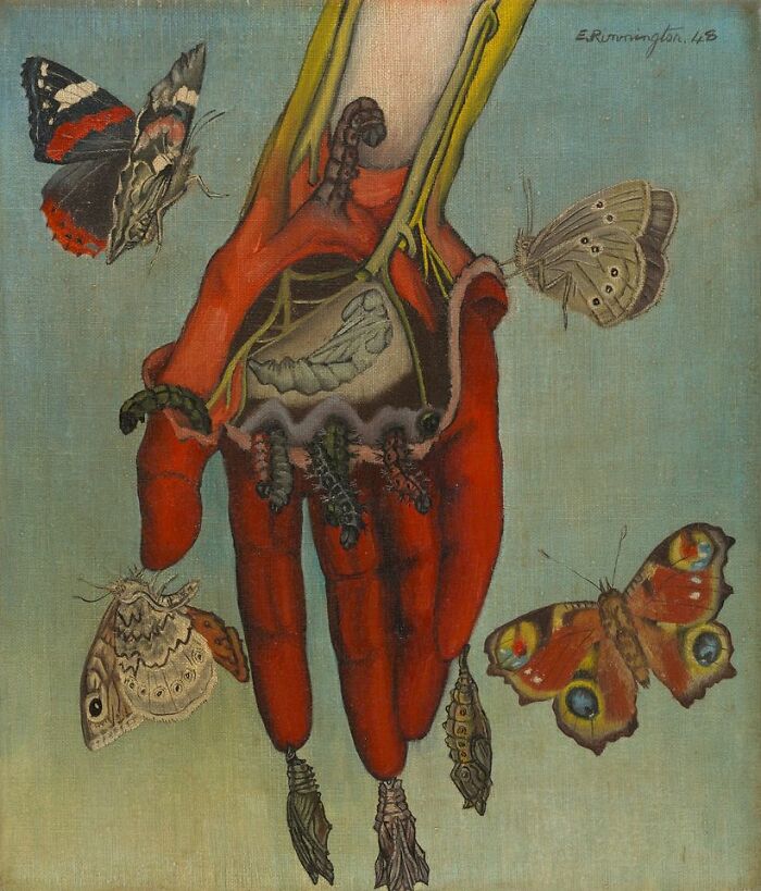 Edith Rimmington, The Decoy, 1948, Oil On Canvas National Galleries Scotland