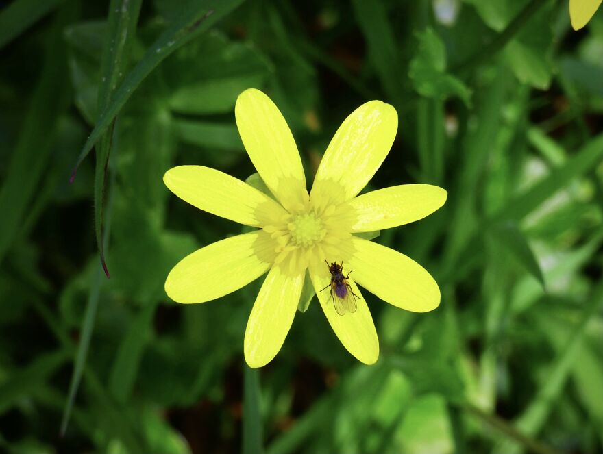 I Photograph Birds And Animals Around The UK, Here Are Some Of My Favourites!
