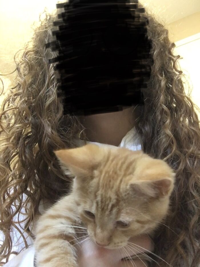 Found A Better Photo Than The One Before, And A Bonus For My Kitty!!