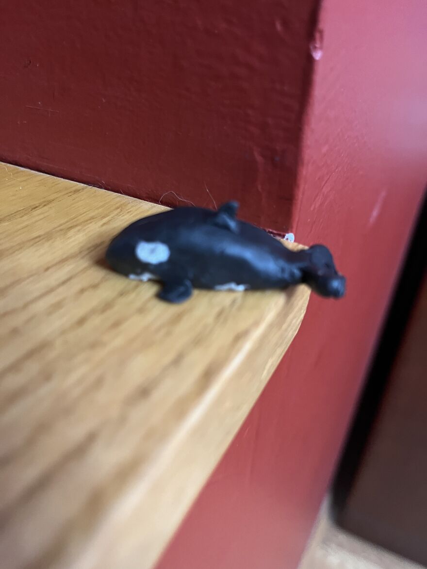 My First 10 Miniature Clay Animals