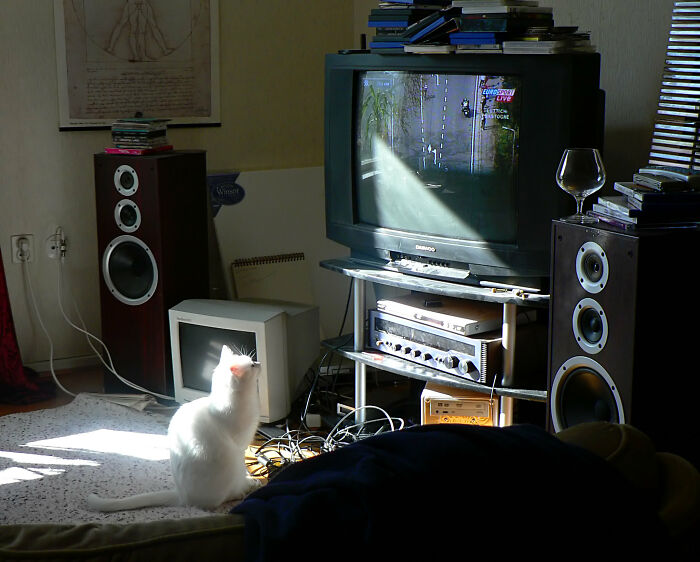 29 “Incredibly American” Things Folks In The US Are Oblivious To How American They Are, As Shared In This Online Group