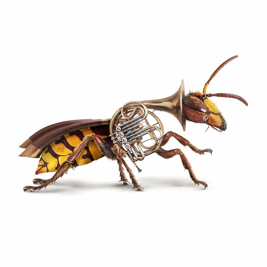 Animals Beyond Fairytale: I Make Bizarre Image Manipulations (21 Pics)