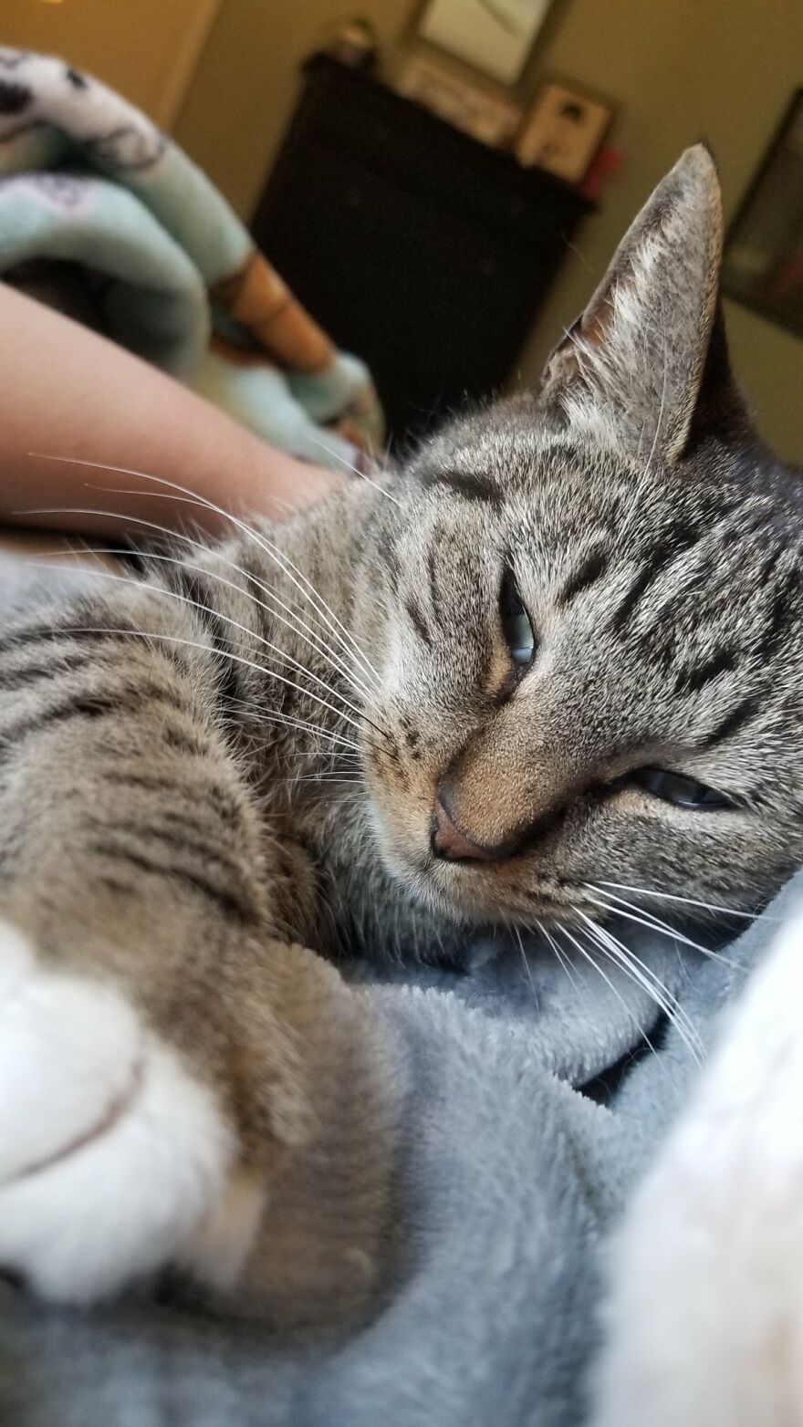 Dad Makes A Cat Bed For His Daughter's Feline From An Old TV, And It Hasn't Gone Unnoticed On The Socials
