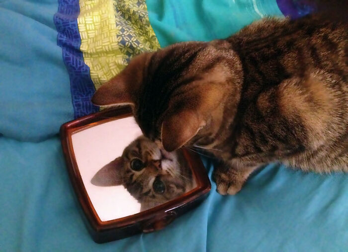 30 Wise Old Sayings That Have Totally Lost Their Meaning In The Contemporary World, As Shared By Folks In This Online Group