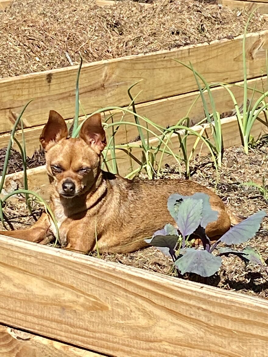 Hot In The South!!!!