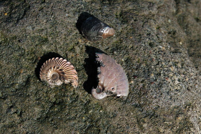 Someone Asks: "What Are Facts About Your Job That The General Public Has No Idea About?" And 30 Folks Online Deliver