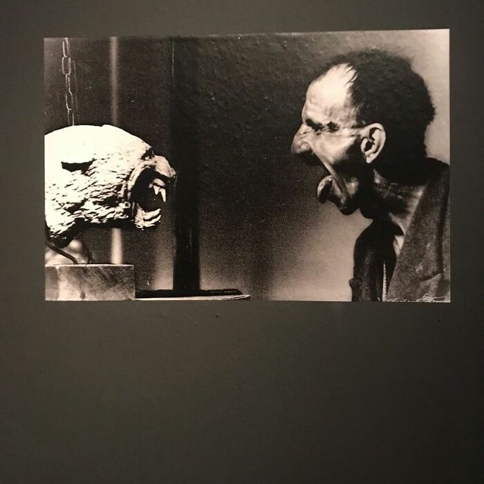 L'important C'est De Communiquer Antonio Ligabue 1899-1965