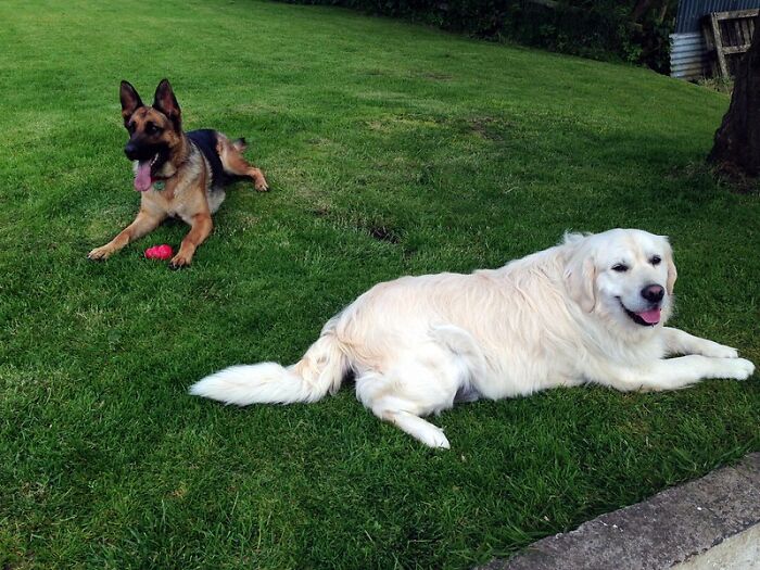 30 Funny Things Patients Said While Loopy On Anesthesia, As Shared In This Online Group