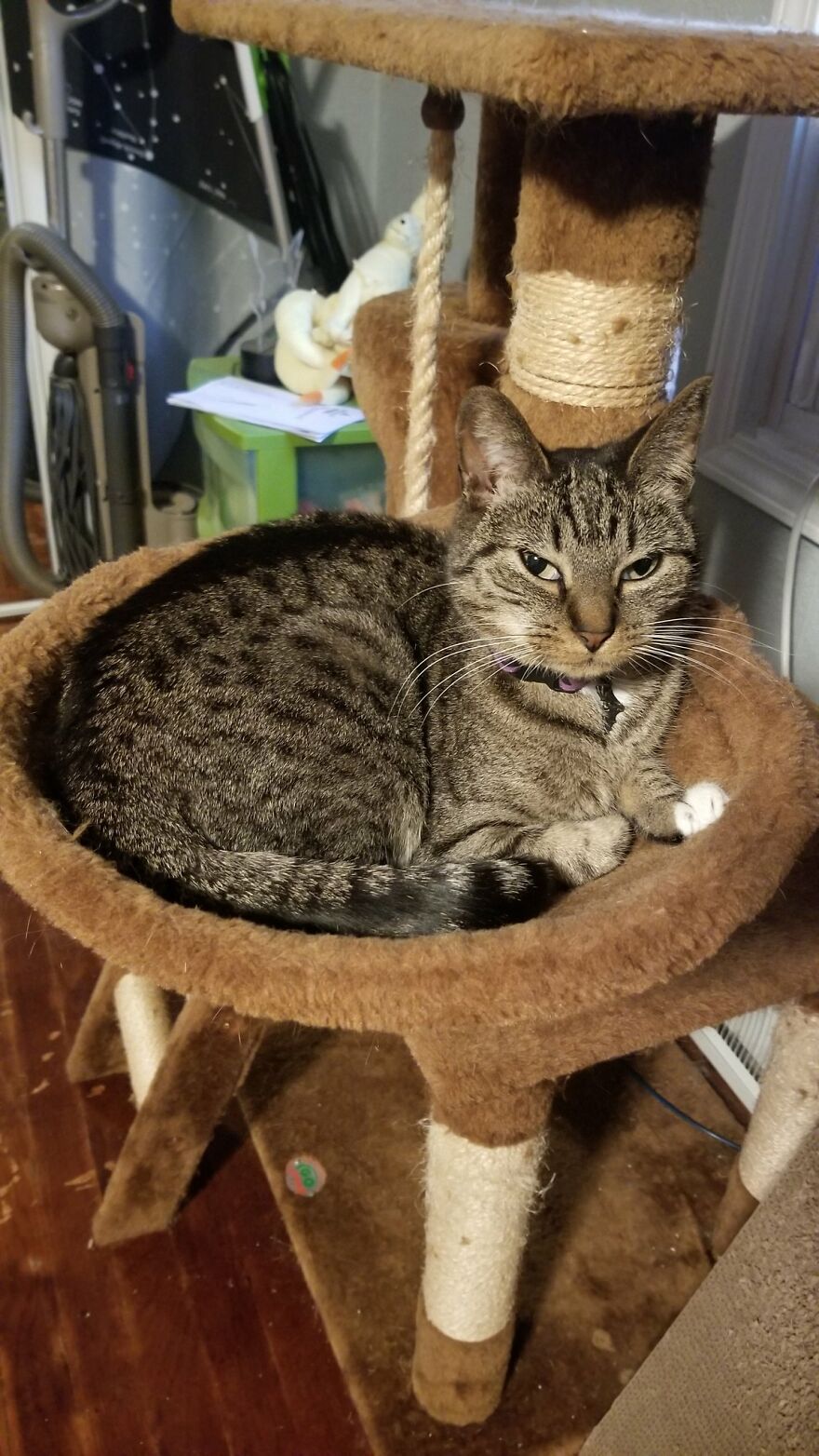 Dad Makes A Cat Bed For His Daughter's Feline From An Old TV, And It Hasn't Gone Unnoticed On The Socials