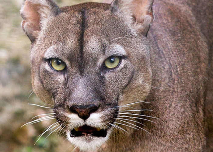 20 Personas sintiendo que “algo no andaba bien” y sus instintos les salvaron la vida