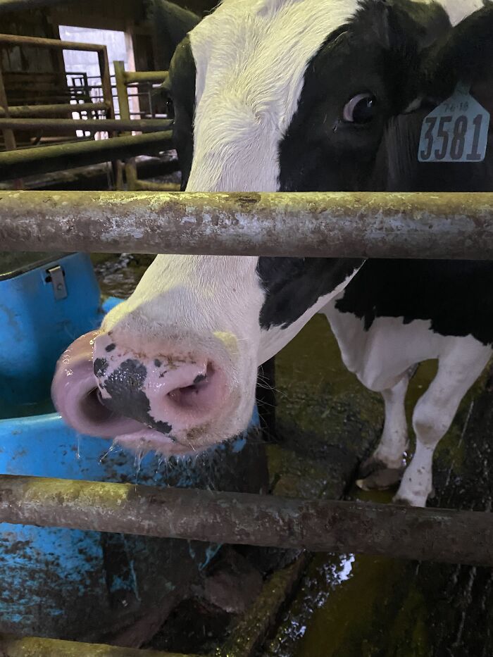 Not Daisy’s Prettiest Moment…