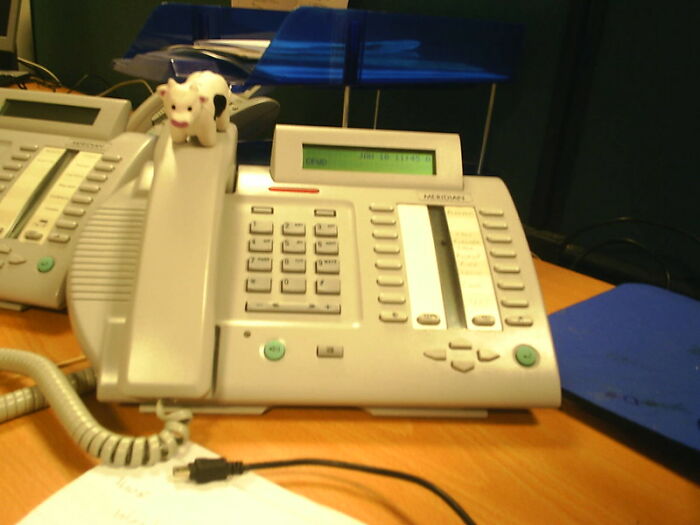 30 Legit, Wild Or Weird Reasons People Got Fired From Their Jobs, As Shared In This Online Group