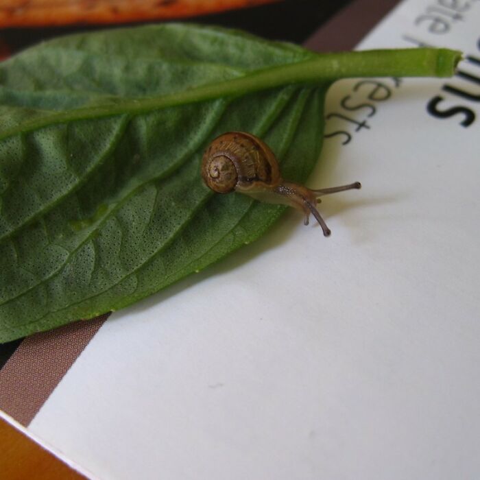 30 Wise Old Sayings That Have Totally Lost Their Meaning In The Contemporary World, As Shared By Folks In This Online Group