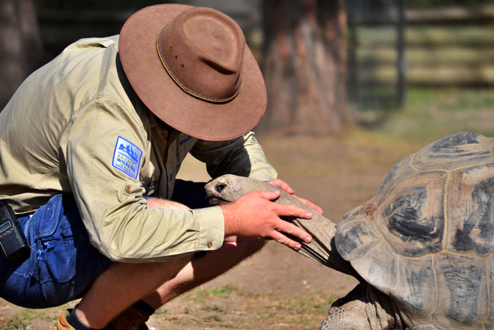 Person Asks “Doctors, What Was The Worst Thing You’ve Seen In A Patient That Another Doctor Overlooked?”, And 30 Folks Deliver