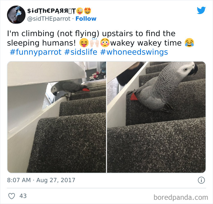 I'm Climbing (Not Flying) Upstairs To Find The Sleeping Humans