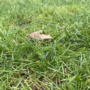 toxicdivision avatar