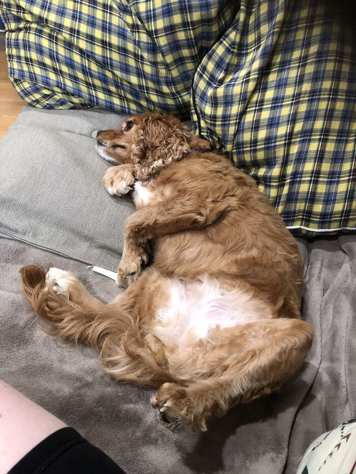 Apparently Dislocating Her Spine Is Very Comfy To Her