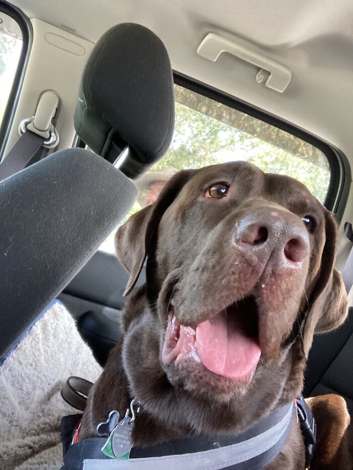 On The Way To The Beach!