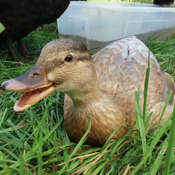 Whatta Ya Mean "I Talk Too Much"?