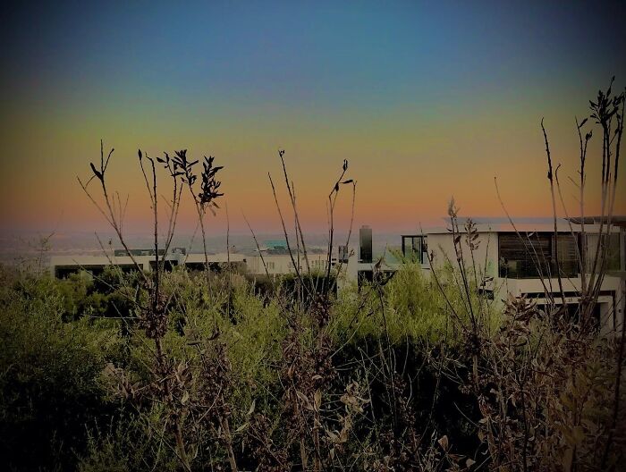 A Nice Vibe Going On Here