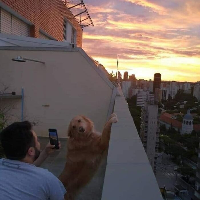 "Not Advertisements But Not Not Advertisements": 50 Funny Memes Without Context