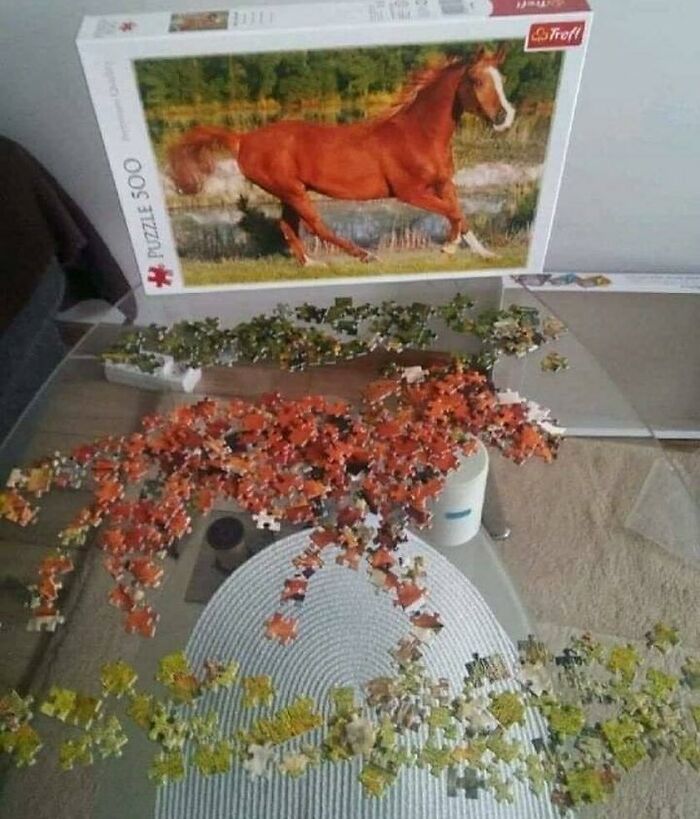 "Not Advertisements But Not Not Advertisements": 50 Funny Memes Without Context