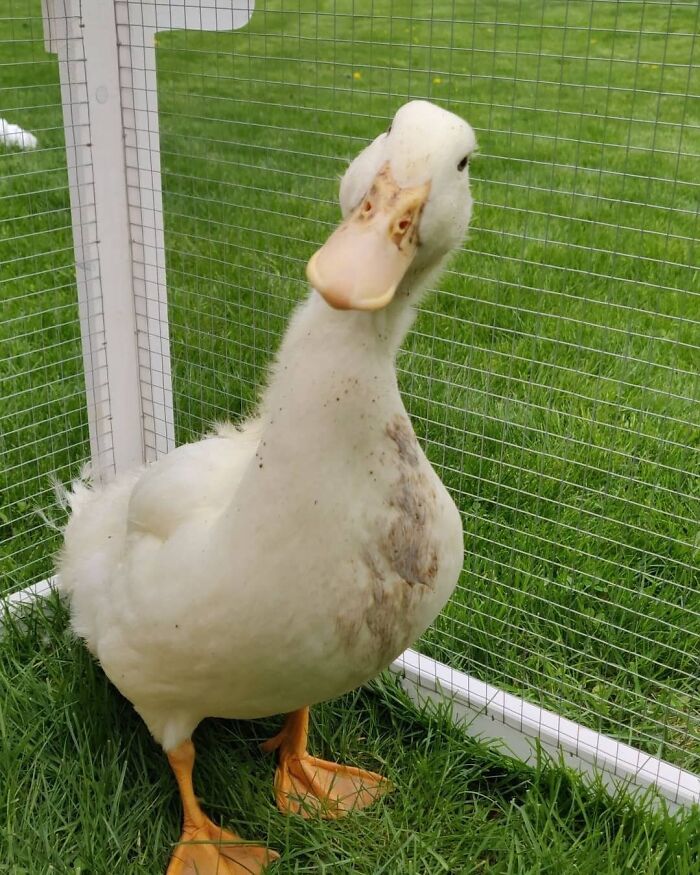 Mom Told Me I Couldn't Play In The Mud Anymore... Can You Believe That?