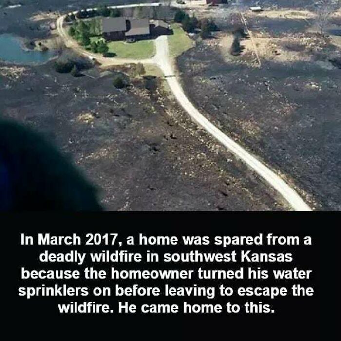 Interesting-Facts-And-Science