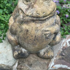 patriciacollalto avatar