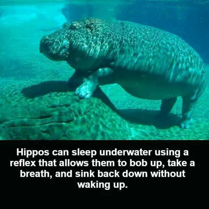 Interesting-Facts-And-Science