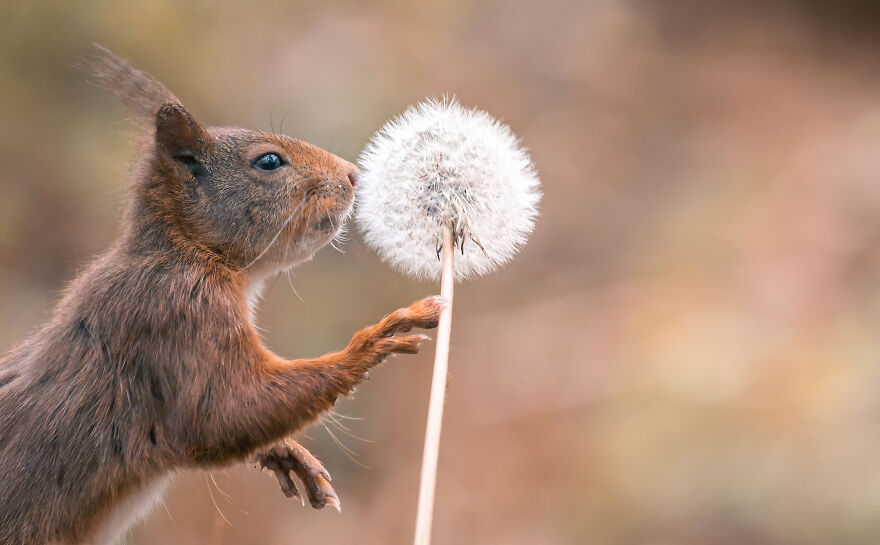 I Worked Together With A Talented Belgian Flower Artist And These Are My 15 Best Shots
