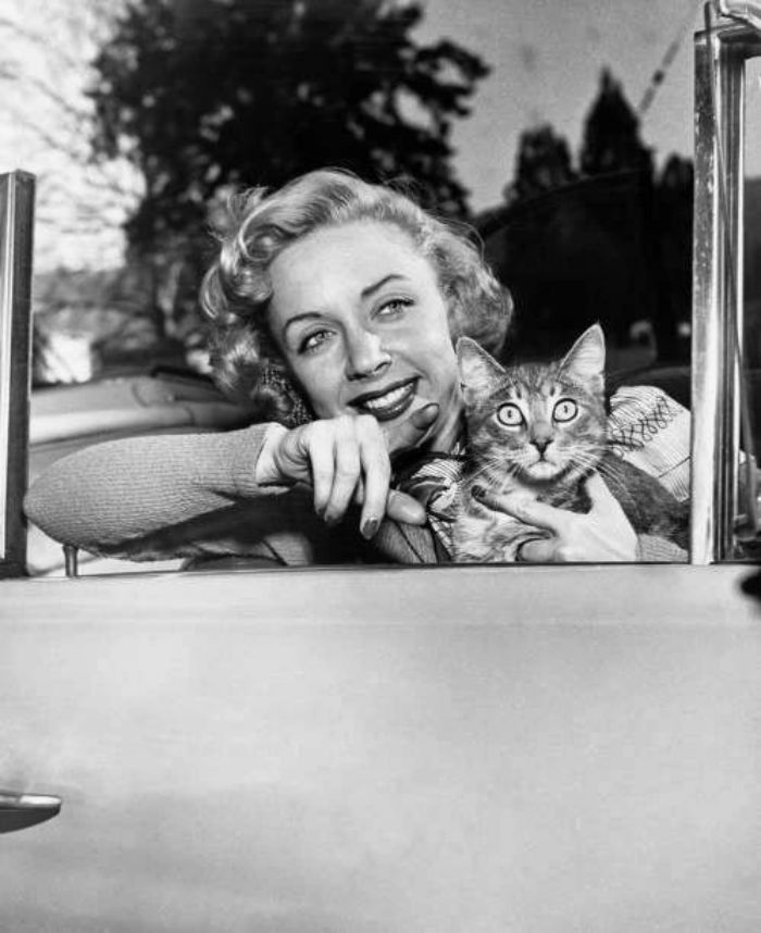 American Film, Television, And Radio Actress Barbra Fuller, 1955