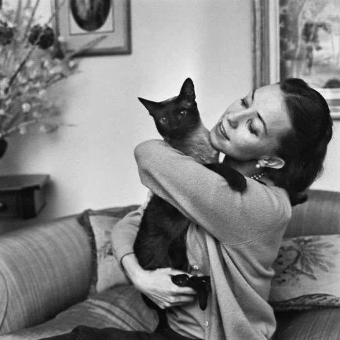 South African Dancer Nadia Nerina, 1964