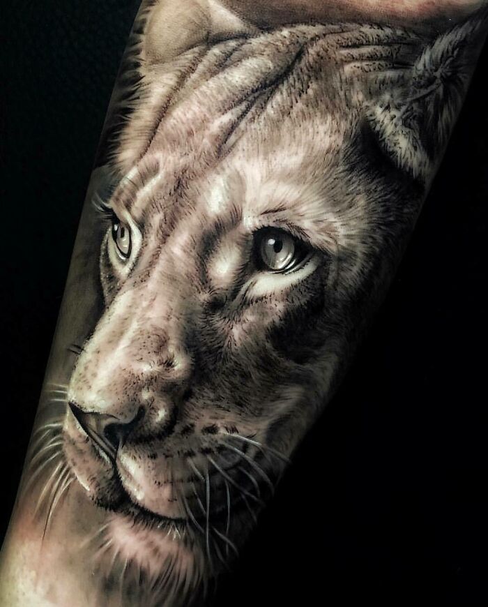 Realistic lion tattoo on forearm, showcasing intricate details and artistry in inkwork.