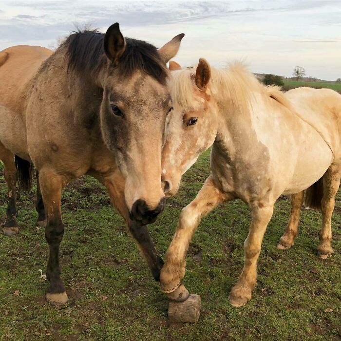 These Two Are So Sweet Together. It’s A Lot Easier When You Can Play With Them At The Same Time