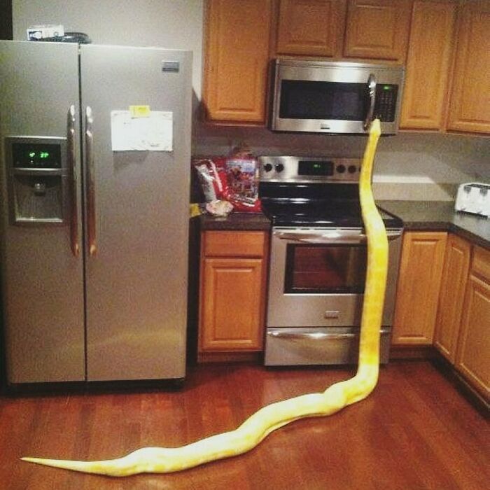 Gallery Of 5 Images.
meta Ani Fwiendzz
#meta_visions
...
...
...
...
...
#art #memesdaily #memes #memepage #shitpost #artwork #aesthetic #arts #shitposts #weirdmemes #cursedimage #meta #photography #viralsdaily #cursed #creative #wtf #memesdaily #viral #viralphoto #virals #viralvideo #dailyvirals #meme #photo #artist #streetart #visualart