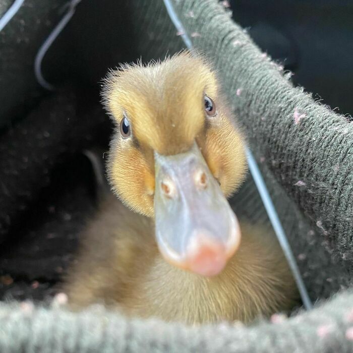 Oh My God. Just Such A Beauty I Can’t Cope