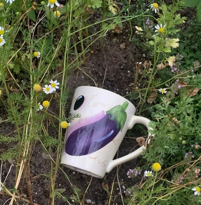 Terrible-Mugs-At-Work