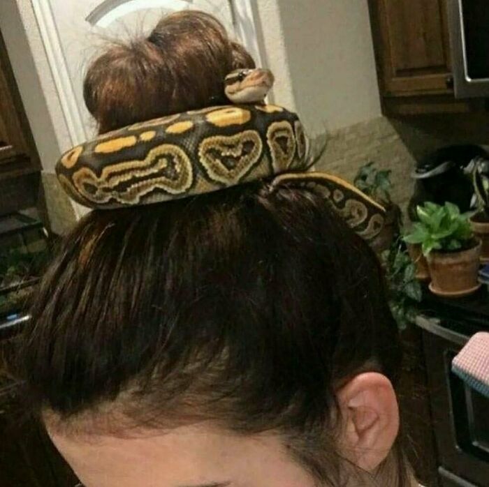 Gallery Of 5 Images.
meta Iz Wat U Mek Of Itz
#meta_visions
...
...
...
...
...
#art #memesdaily #memes #memepage #shitpost #artwork #aesthetic #arts #shitposts #weirdmemes #cursedimage #meta #photography #viralsdaily #cursed #creative #wtf #memesdaily #viral #viralphoto #virals #viralvideo #dailyvirals #meme #photo #artist #streetart #visualart