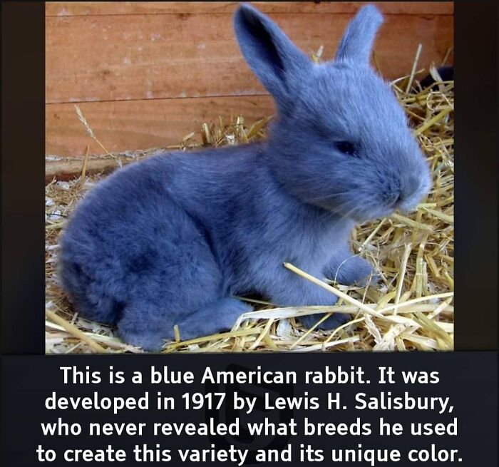 Interesting-Facts-And-Science