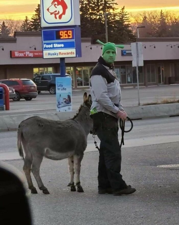 "Not Advertisements But Not Not Advertisements": 50 Funny Memes Without Context