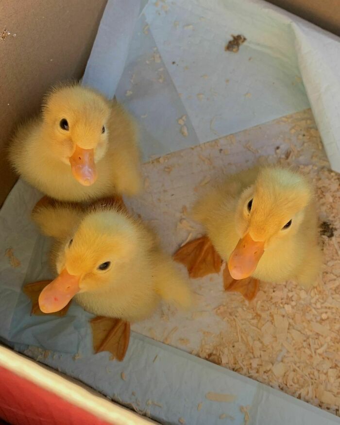 Throwback To When My Babies Were Just Babies