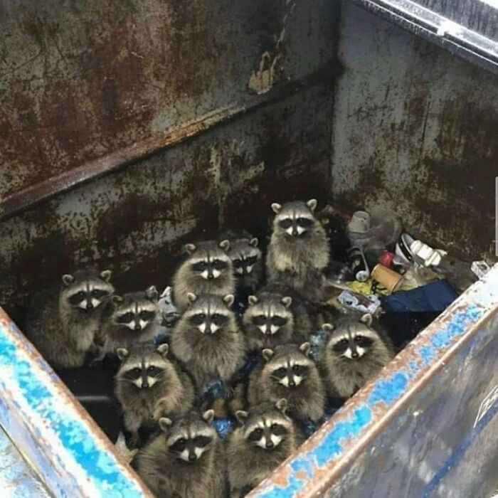 Gallery Of 5 Images.
meta Dogoe Haz Seen Sum Shitz
#meta_visions