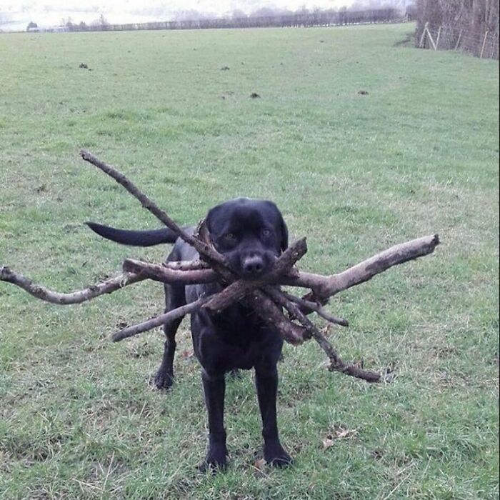 Gallery Of 5 Images.
if U Non’t Liek Meta Y R U Even Herez?
#meta_visions