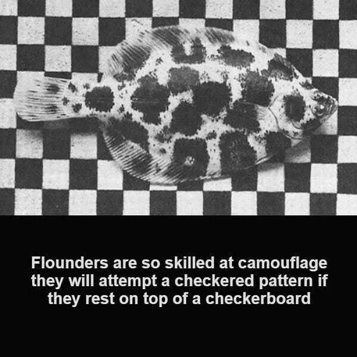 Interesting-Facts-And-Science