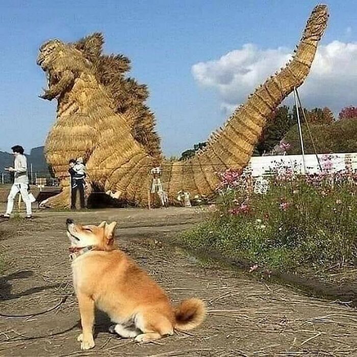 Gallery Of 6 Images.
meta 😭
#meta_visions
...
...
...
...
...
#art #memesdaily #memes #memepage #shitpost #artwork #aesthetic #arts #shitposts #weirdmemes #cursedimage #meta #photography #viralsdaily #cursed #creative #wtf #memesdaily #viral #viralphoto #virals #viralvideo #dailyvirals #meme #photo #artist #streetart #visualart