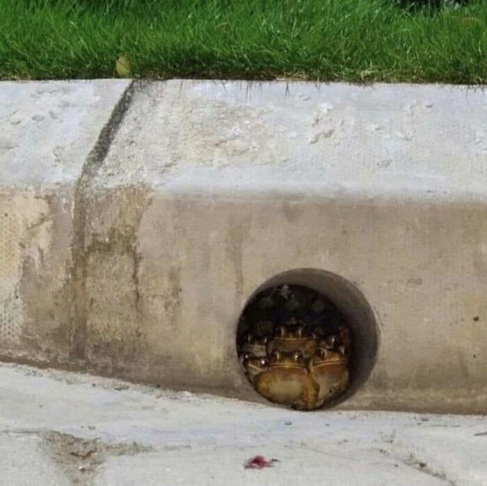 Gallery Of 5 Images.
nothinge 2 See Here - Iz Jus Meta
#meta_visions
...
...
...
...
...
#art #memesdaily #memes #memepage #shitpost #artwork #aesthetic #arts #shitposts #weirdmemes #cursedimage #meta #photography #viralsdaily #cursed #creative #wtf #memesdaily #viral #viralphoto #virals #viralvideo #dailyvirals #meme #photo #artist #streetart #visualart